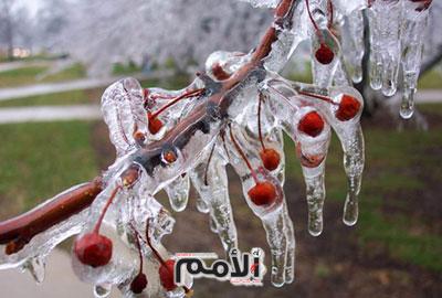 صقيع انجماد