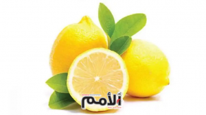 الليمون يسجل تراجعا في السوق المركزي: الكيلو بدينارين