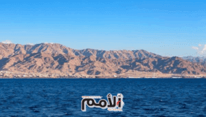موافقة حكومية على قرض ومنحة إيطالية بقيمة 52 مليون يورو لتمويل الناقل الوطني