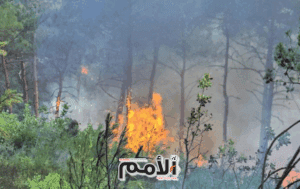 بدعم أردني ودولي .. حرائق اللاذقية تحت السيطرة شبه الكاملة