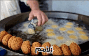 ارتفاع عدد إصابات تسمم الفلافل في إربد إلى 55 .. وجرثومة الشيغيلا سببها
