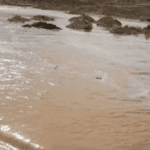 الأمن يحذر من المنخفض: ابتعدوا عن جوانب الأودية ومجاري السيول