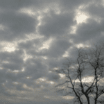 الأرصاد: عودة الأجواء الباردة والماطرة بداية الأسبوع