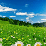 الخميس .. أجواء مشمسة وباردة نسبيا