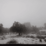 ثلوج فوق مرتفعات الجنوب الخميس