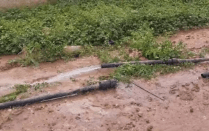 ضبط اعتداءات على المياه في الموقر تزود مزارع ومنازل