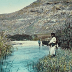 هل يعيد الأردن إحياء سيل عمّان؟