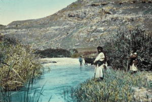 هل يعيد الأردن إحياء سيل عمّان؟