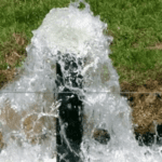 الناقل الوطني والزراعة .. أولويات مؤجلة ومكاسب غير مباشرة