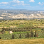 متخصصون: محافظات الأردن الزراعية خط الدفاع الأول للأمن الغذائي