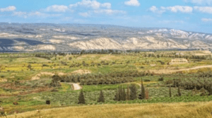 متخصصون: محافظات الأردن الزراعية خط الدفاع الأول للأمن الغذائي