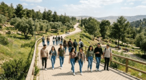 %43.1 من الأردنيين الذكور و32.7% من الفتيات لم يسبق لهم الزواج
